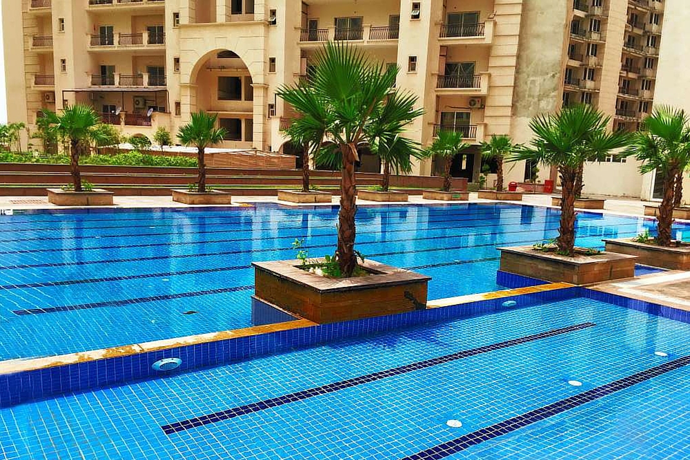 Best Swimming pool contractor in India