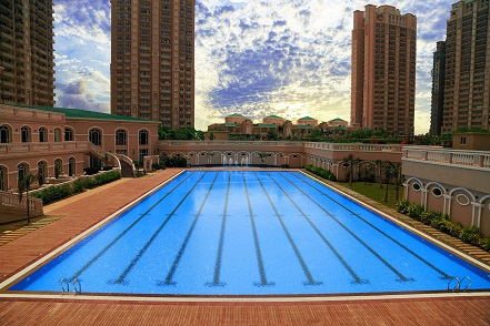 olympic swimming pool design